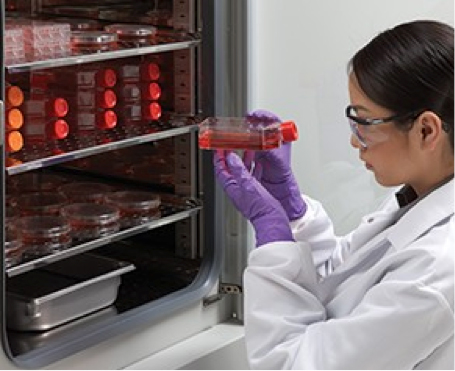 woman working in lab