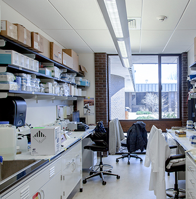 Lab Space Work Area